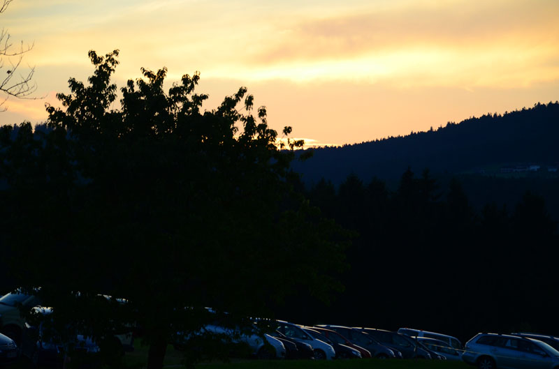 DSC_6494