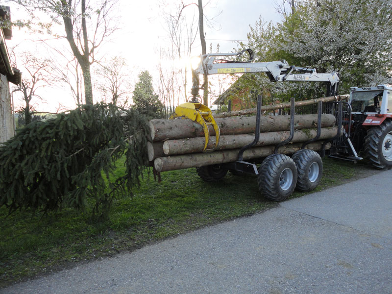 1wald