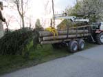 1wald
