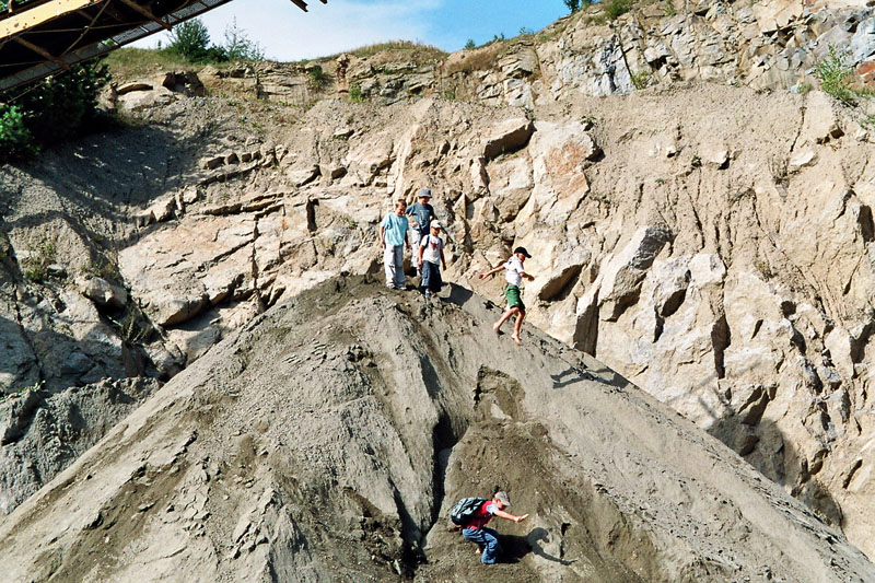 imm012_13
